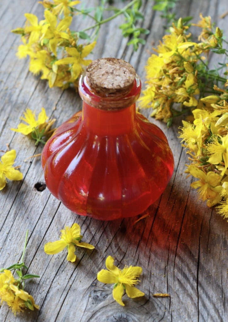 Image of ruby red st. john's wort infused oil